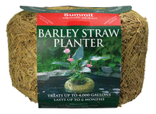 Load image into Gallery viewer, Clear-Water® Barley Straw Planter